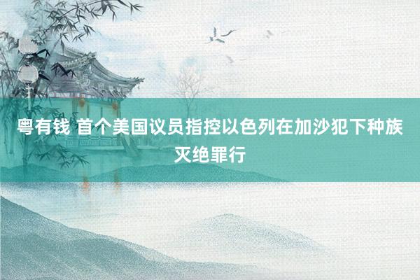 粤有钱 首个美国议员指控以色列在加沙犯下种族灭绝罪行