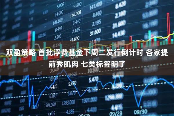 双盈策略 首批浮费基金下周二发行倒计时 各家提前秀肌肉 七类标签明了