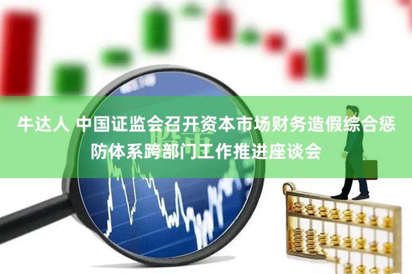 牛达人 中国证监会召开资本市场财务造假综合惩防体系跨部门工作推进座谈会