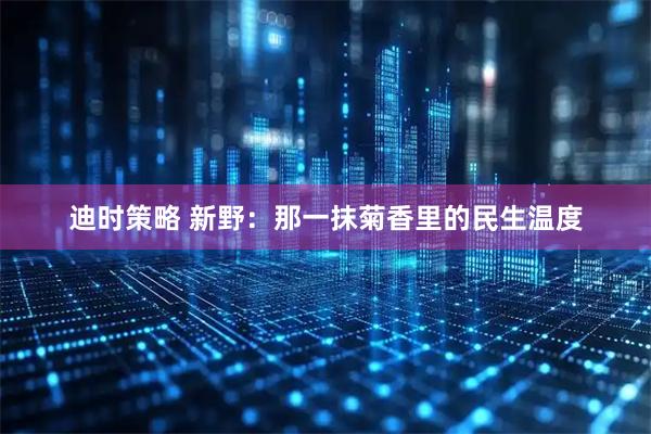 迪时策略 新野：那一抹菊香里的民生温度