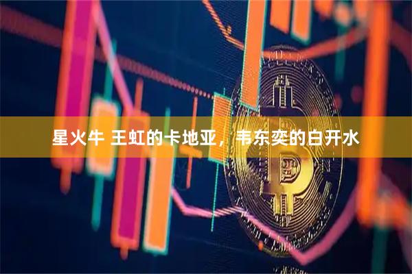 星火牛 王虹的卡地亚，韦东奕的白开水